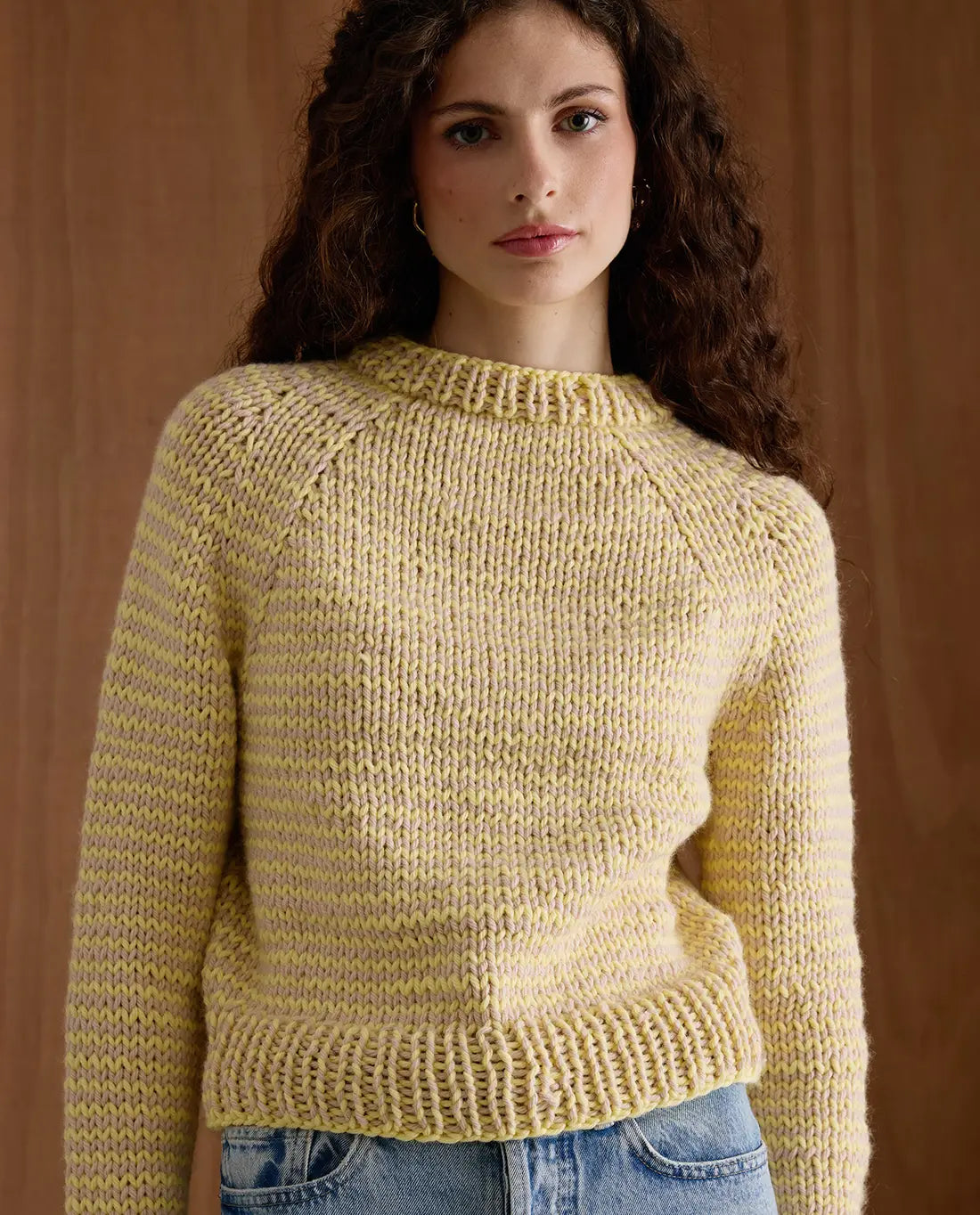 MODÈLE PULL FEMME DIXIE