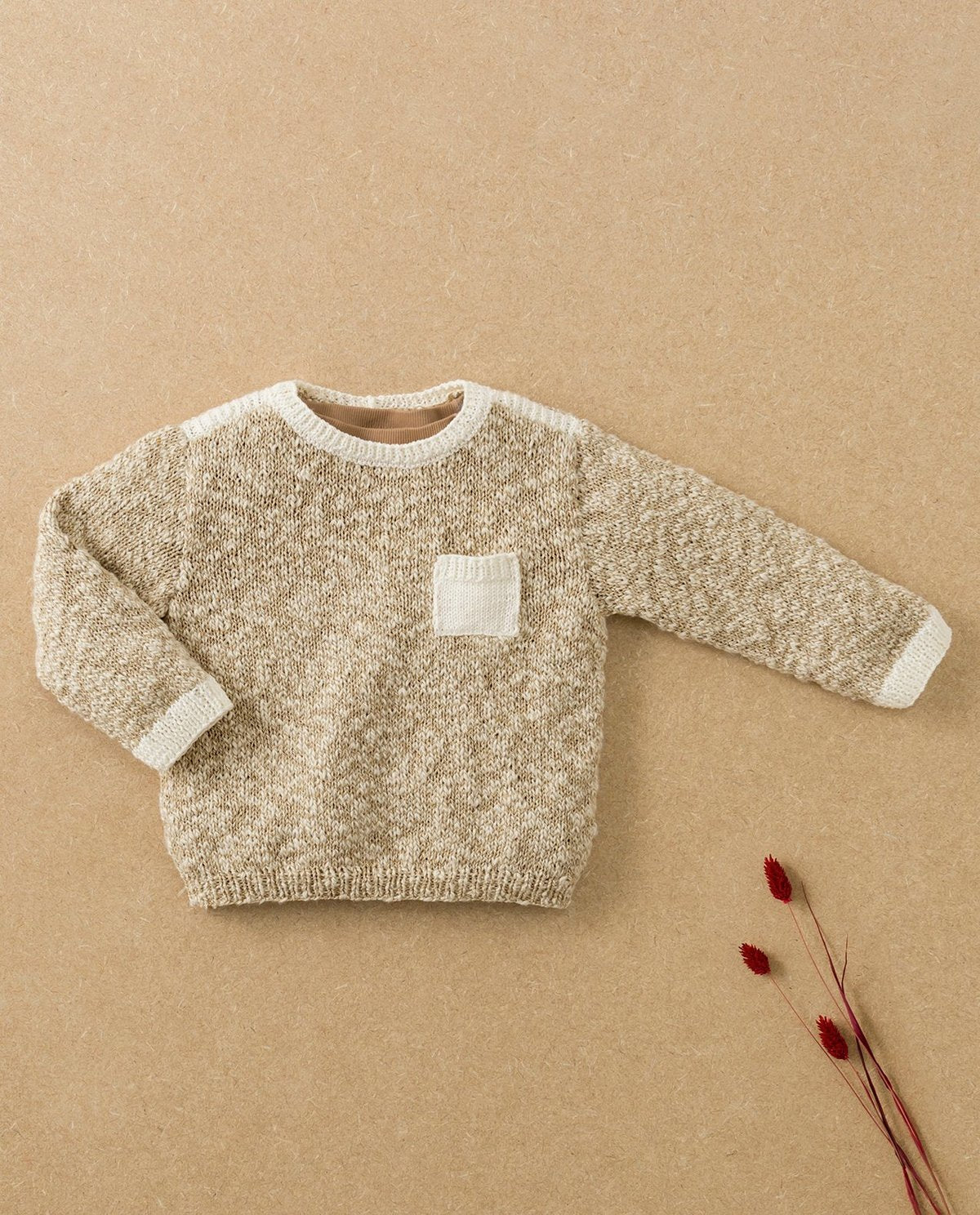 Modèle Pull Cyprien