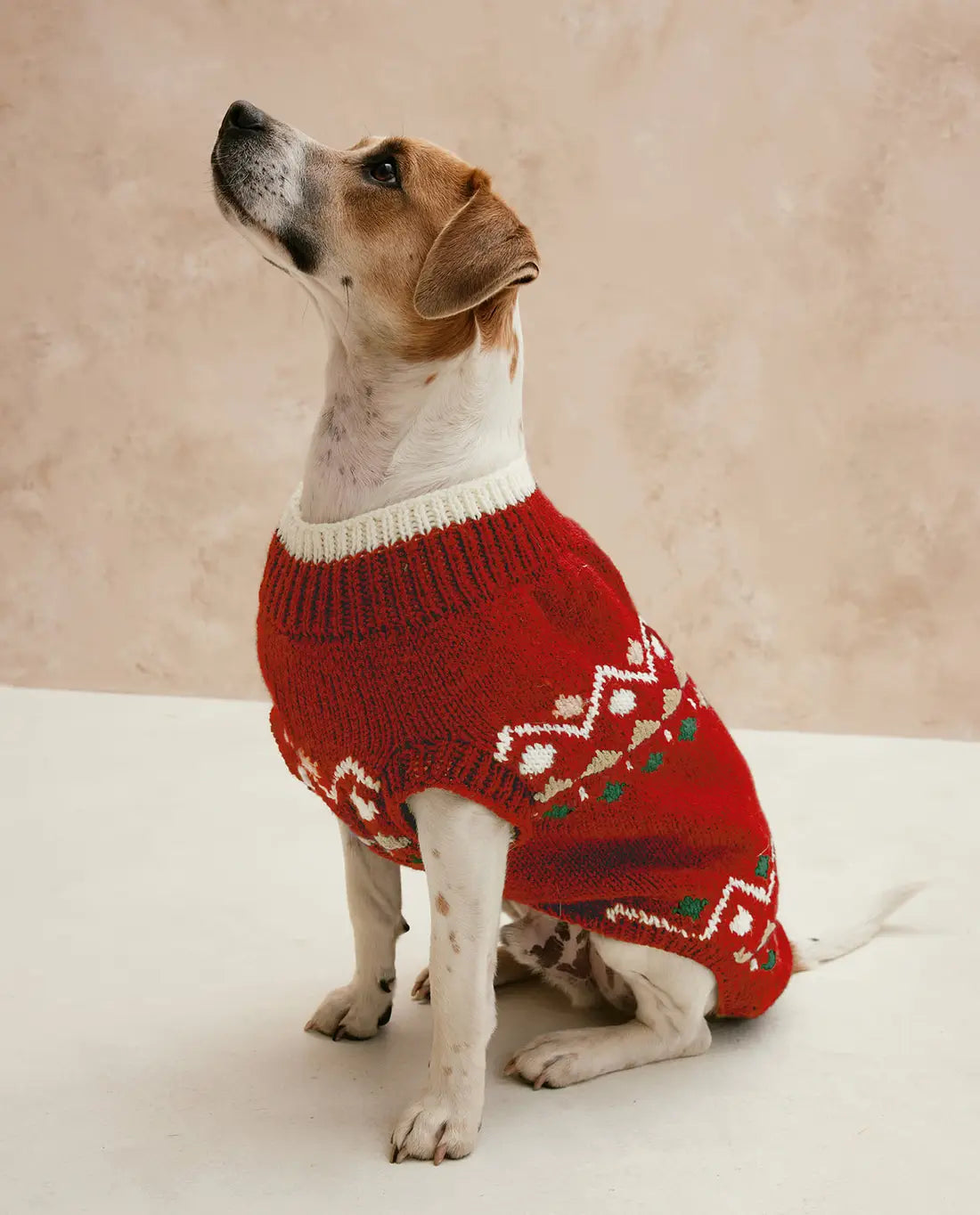 MODÈLE PULL CHIEN TOBBY