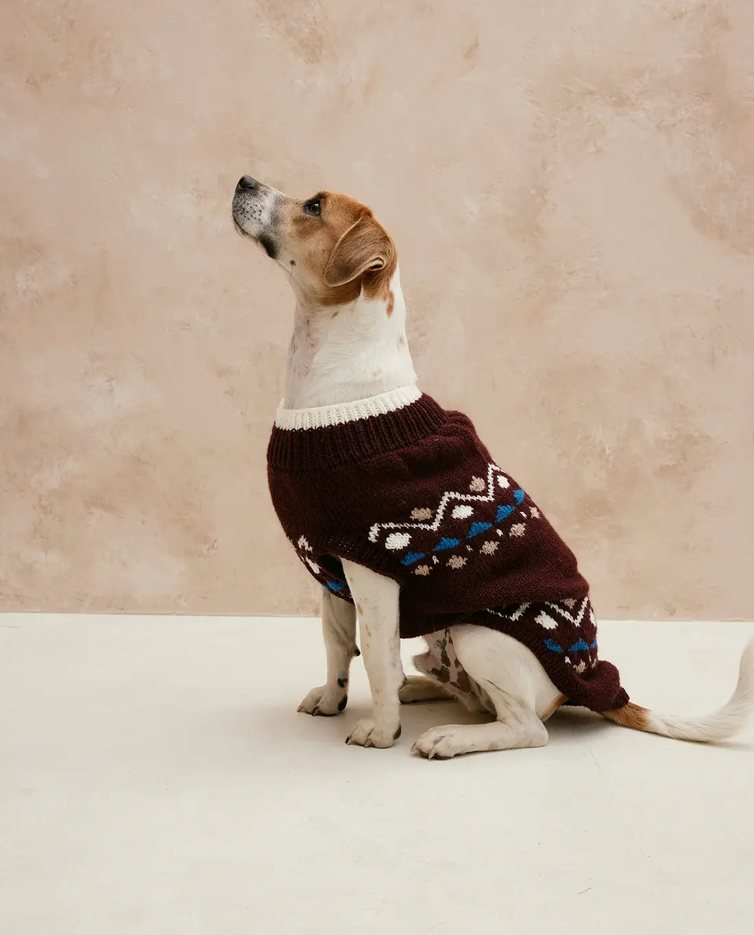 MODÈLE PULL CHIEN TOBBY